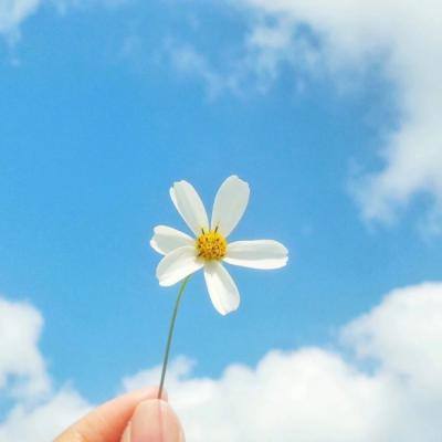 PG电子游戏下载截图