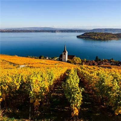 鸭脖app下载app下载