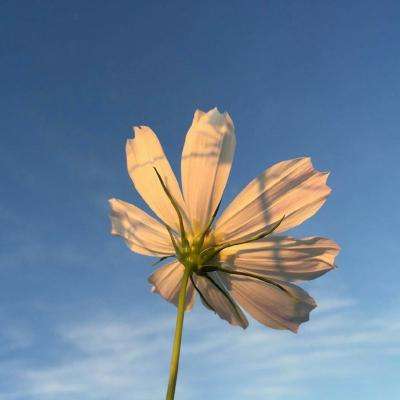 BSport·APP在线登录app下载