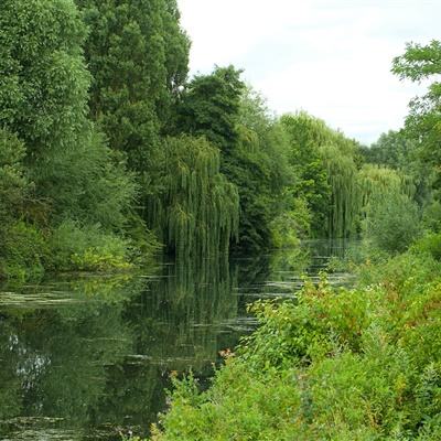 pg麻将胡了下载手机app下载