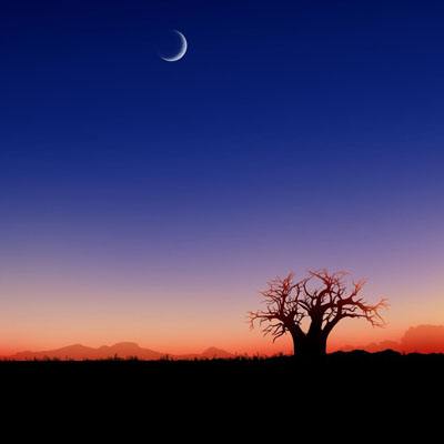 金沙澳门场娱网址