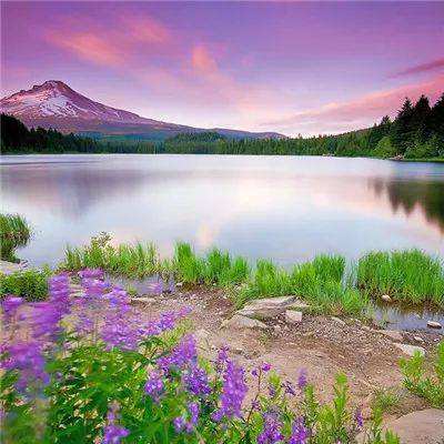 金沙8888js官方下载手机版截图