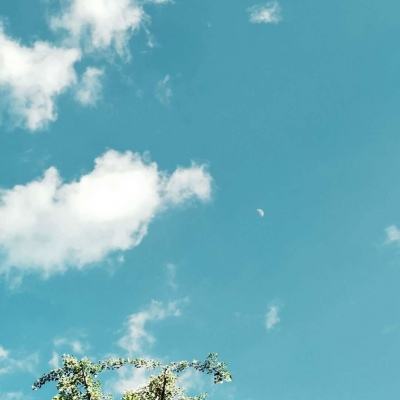 pg麻将胡了下载手机app下载截图